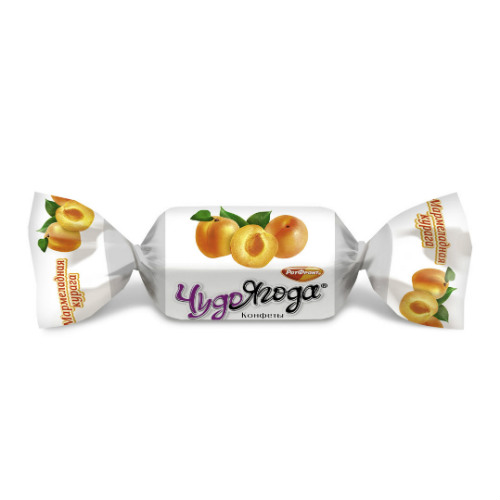 в Звёздном городке