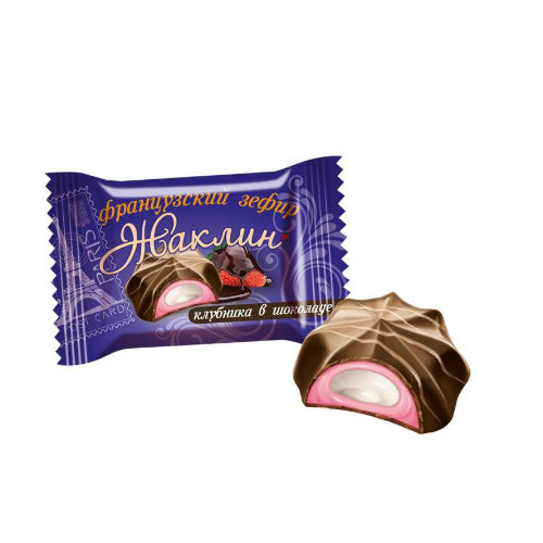 в Звёздном городке