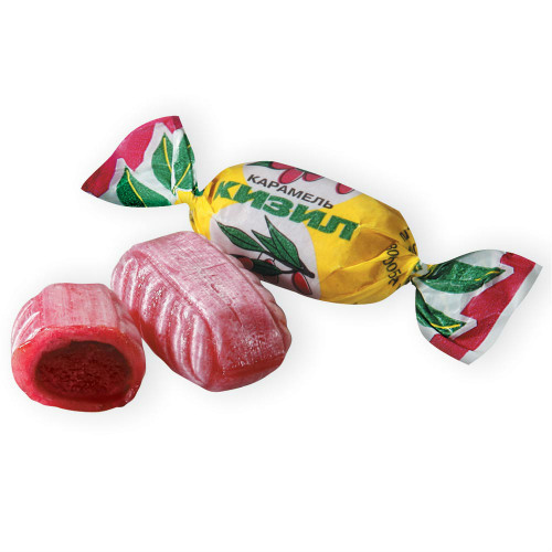 в Звёздном городке