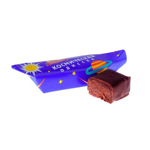 в Звёздном городке