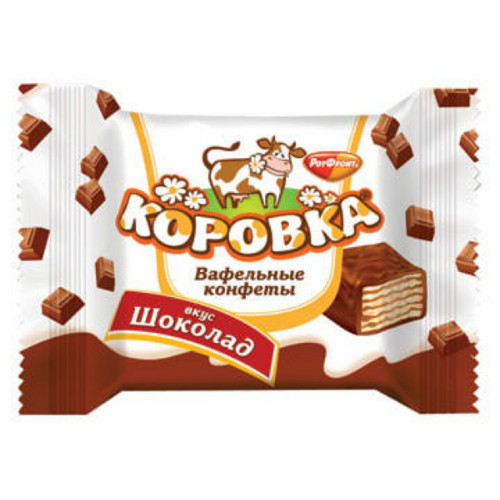 в Звёздном городке