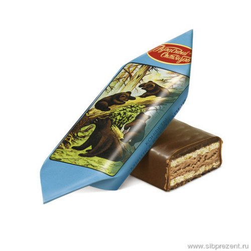 в Звёздном городке