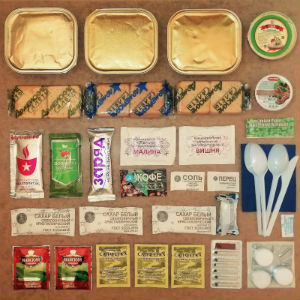 Армейский ИРП 21 в Звёздном городке