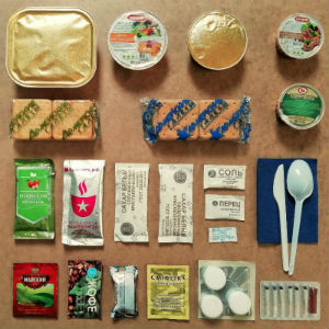 Армейский ИРП 9 в Звёздном городке