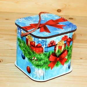  в Звёздном городке