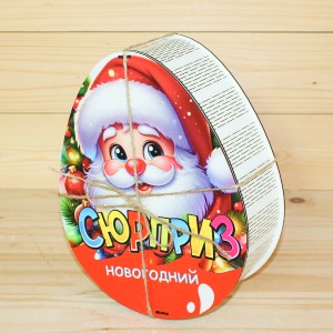  в Звёздном городке