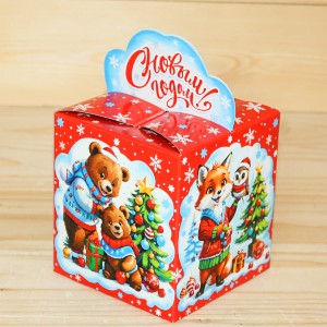  в Звёздном городке