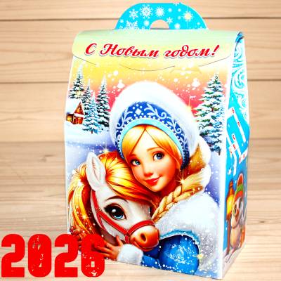 Детский новогодний подарок 2026 в Звёздном городке