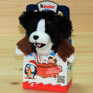  в Звёздном городке