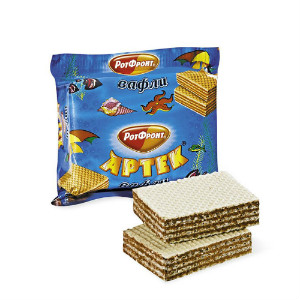  в Звёздном городке