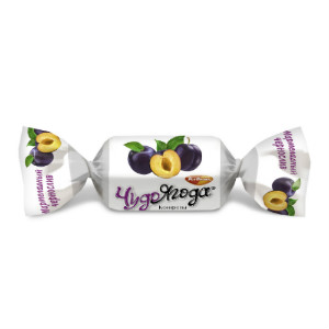  в Звёздном городке