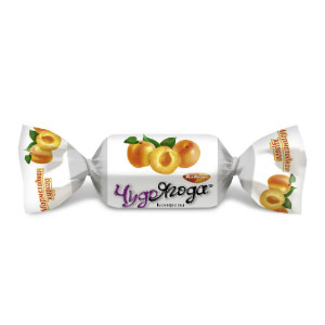  в Звёздном городке