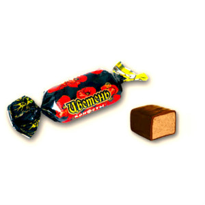  в Звёздном городке