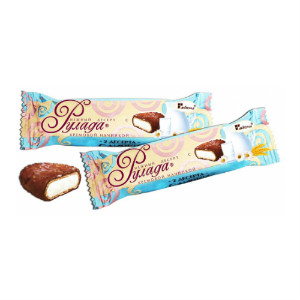  в Звёздном городке