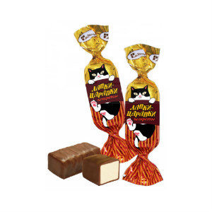  в Звёздном городке