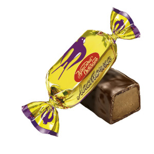  в Звёздном городке