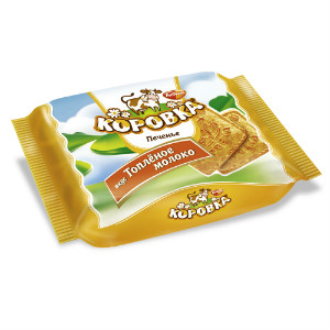  в Звёздном городке