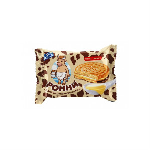  в Звёздном городке