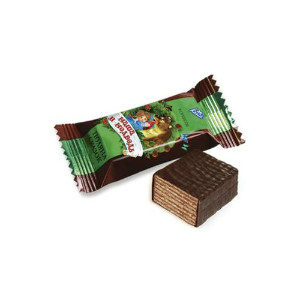  в Звёздном городке