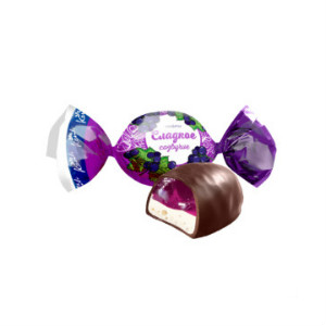  в Звёздном городке