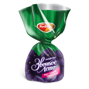  в Звёздном городке