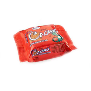  в Звёздном городке