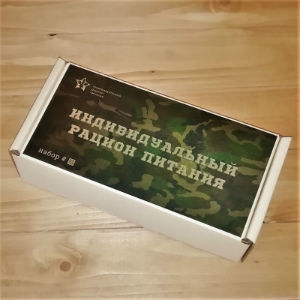 Армейский ИРП 19 в Звёздном городке