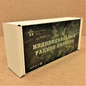 Армейский ИРП 17 в Звёздном городке