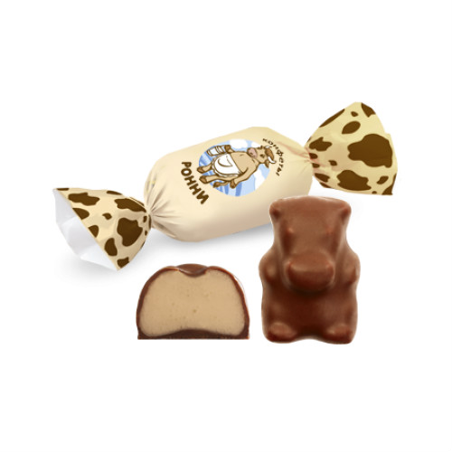 в Звёздном городке