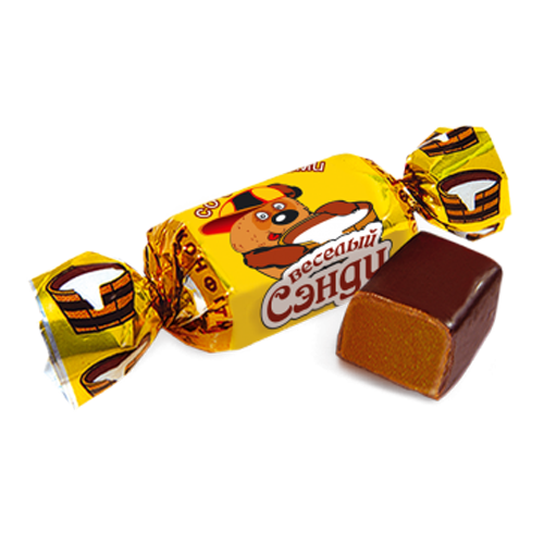 в Звёздном городке