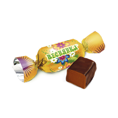 в Звёздном городке